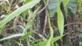 20140731_083824_Richtone(HDR)